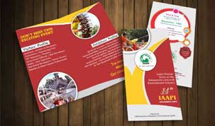 iaapi-bi-fold-brochure-9dzine