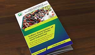 iaapi-tri-fold-brochure-9dzine