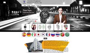 shenzhen-hongliyuan-9dzine