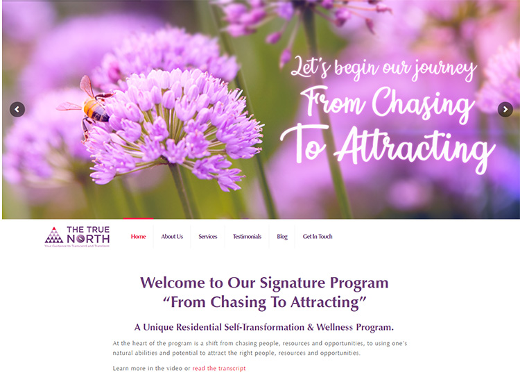 the-true-north-9dzine